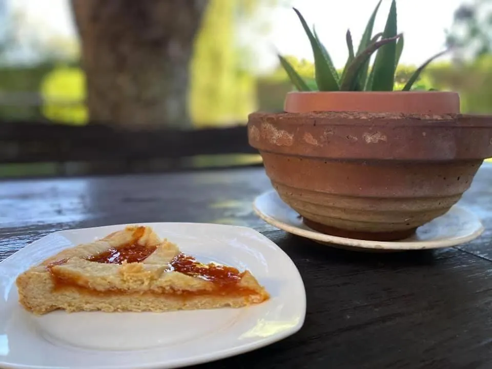 Il Melarancio Bed & Breakfast Pescia Romana