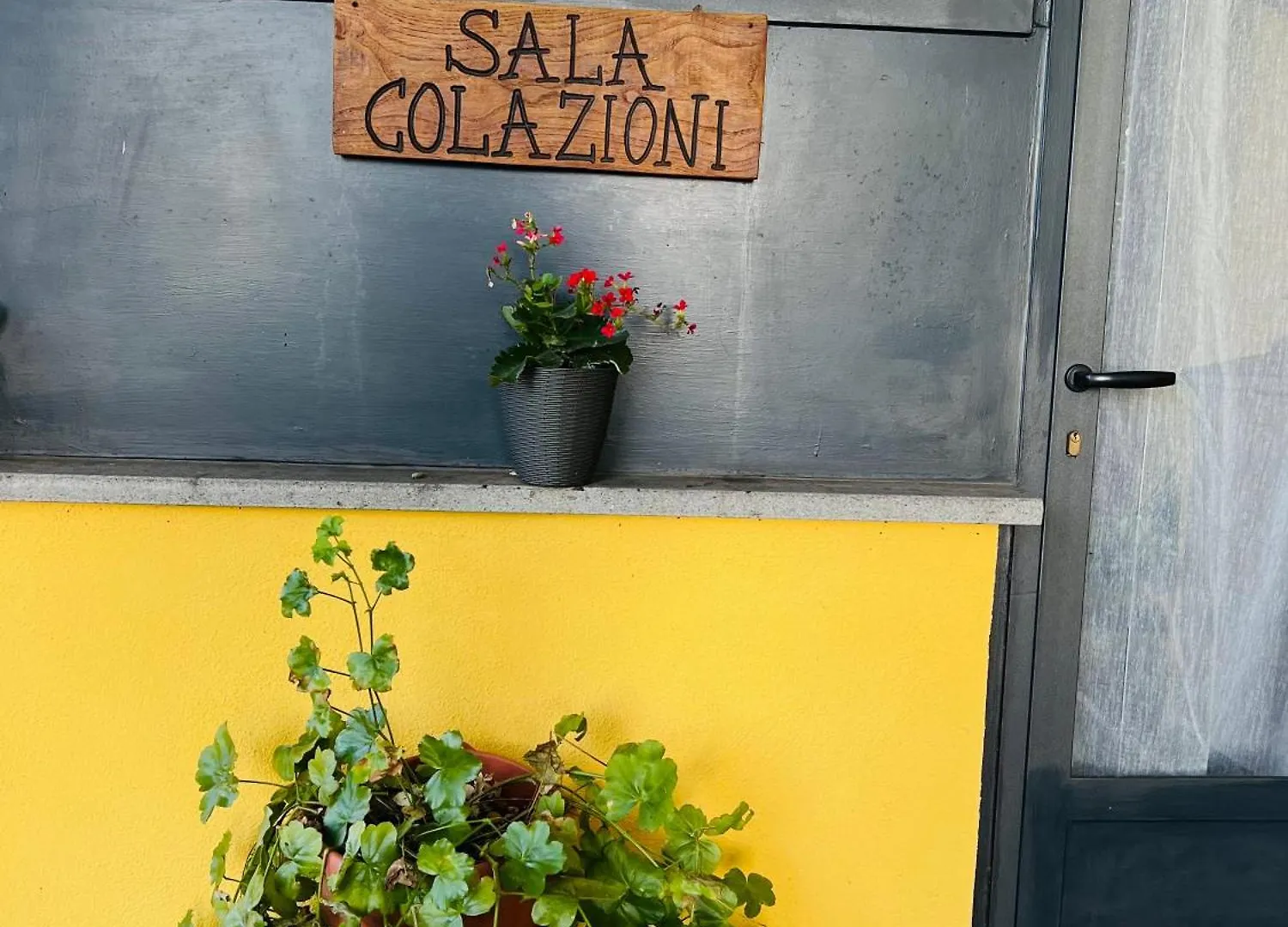Il Melarancio Bed & Breakfast Pescia Romana