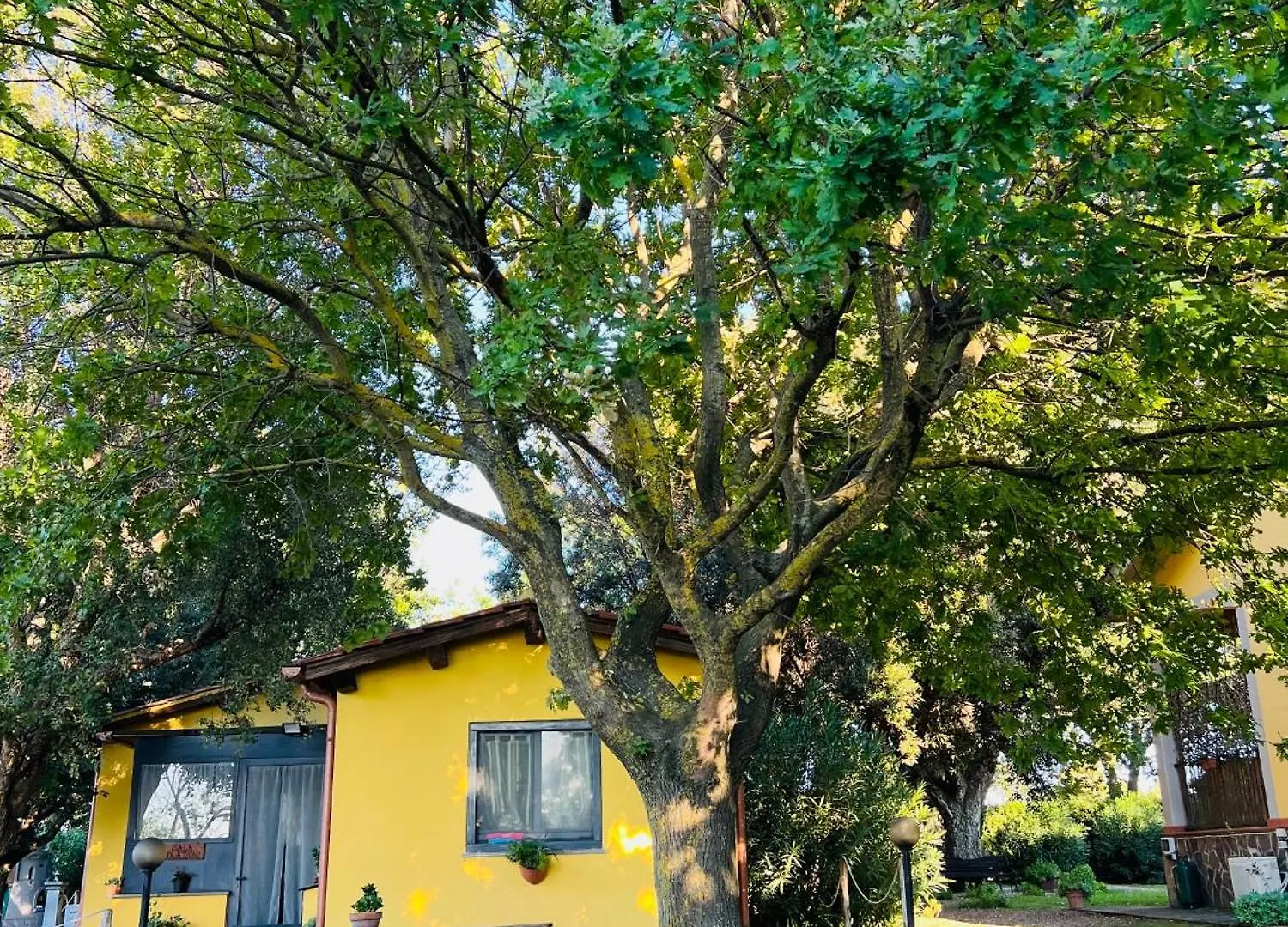 Il Melarancio Bed & Breakfast Pescia Romana 0*,